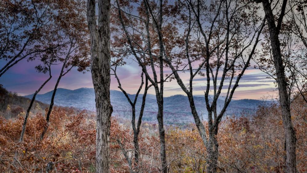 Sunrise And Stardust Villa Mashburn Mill Dış mekan fotoğraf